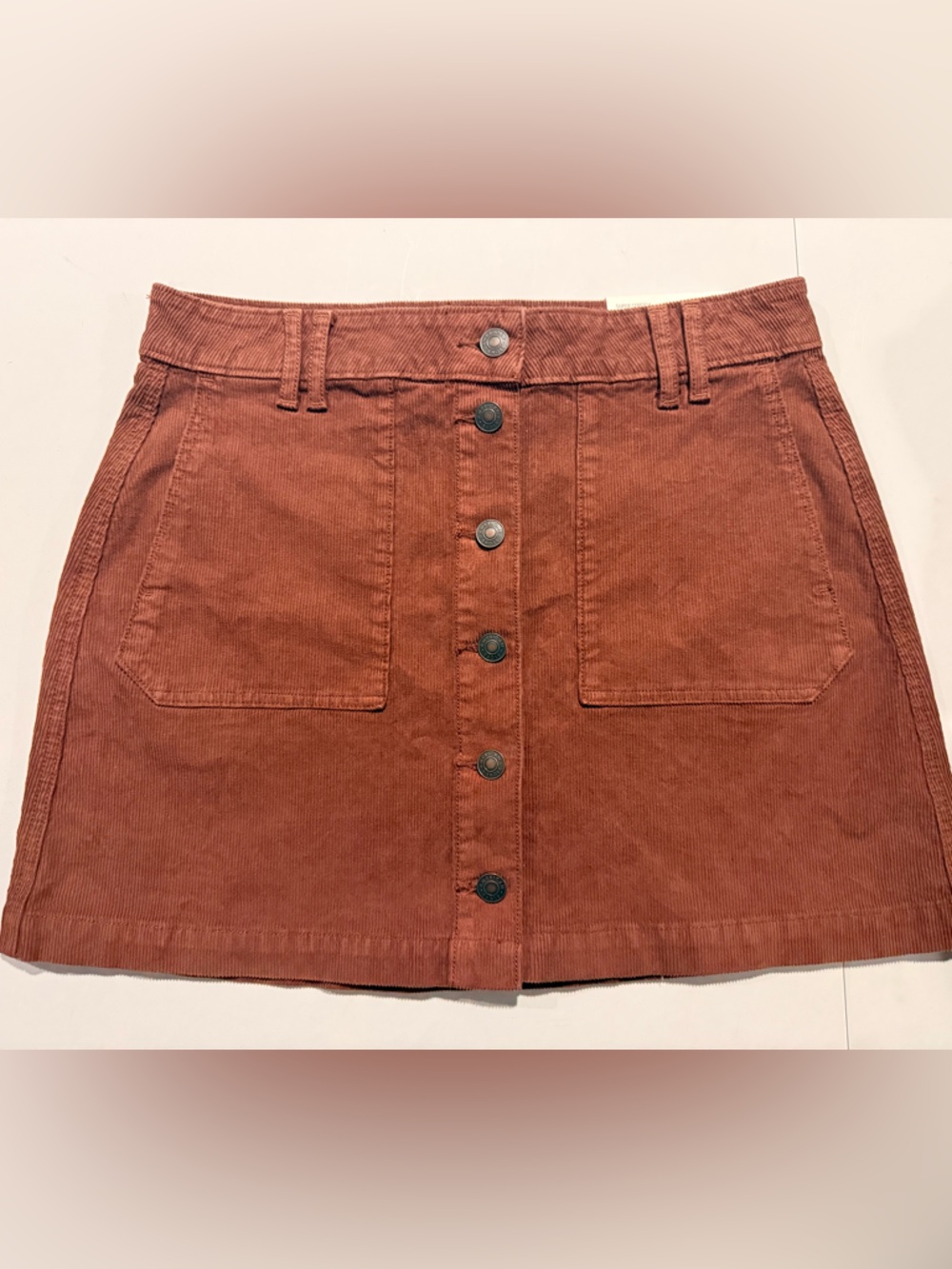 American Eagle Outfitters Rust Corduroy Button-Up Mini Skirt